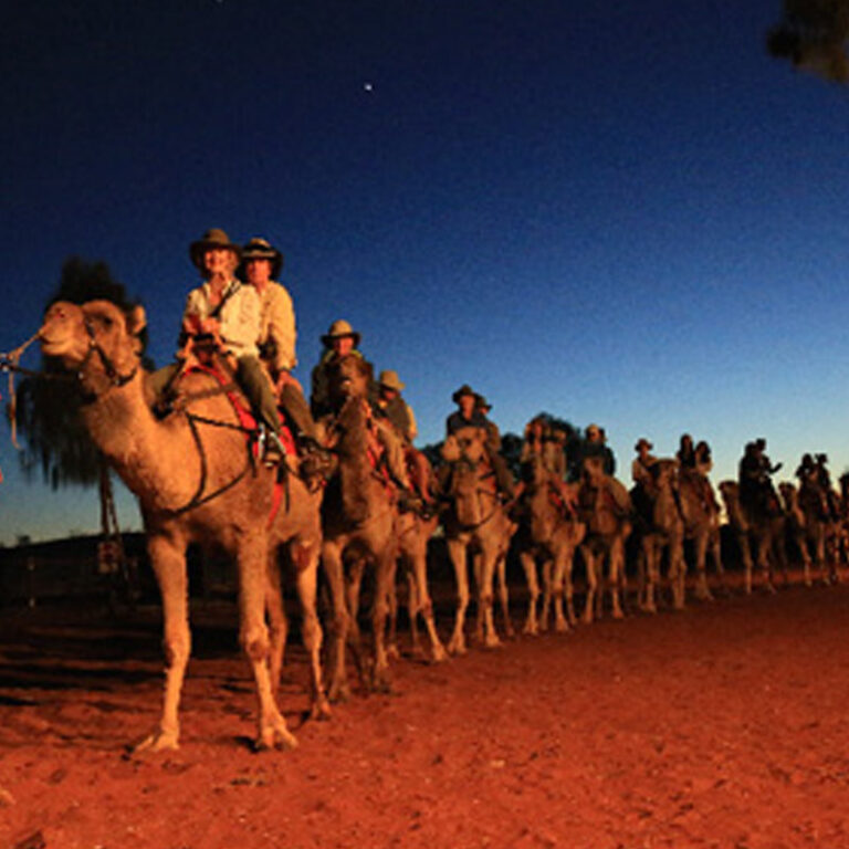 Sunrise Camel ride