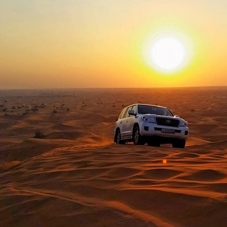 Evening Desert Safari