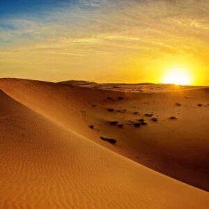 SUNRISE DESERT SAFARI