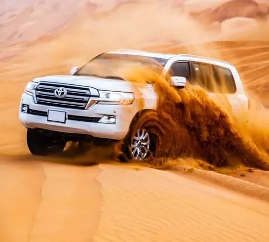 VIP Desert safari